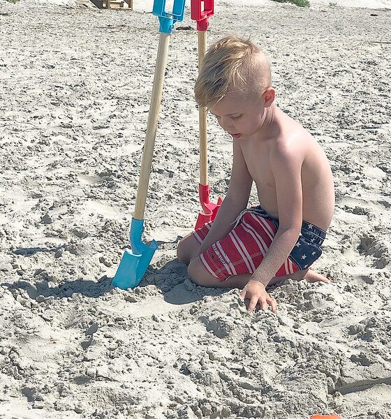 SUMMER NIGHTS & BACKYARD BBQS